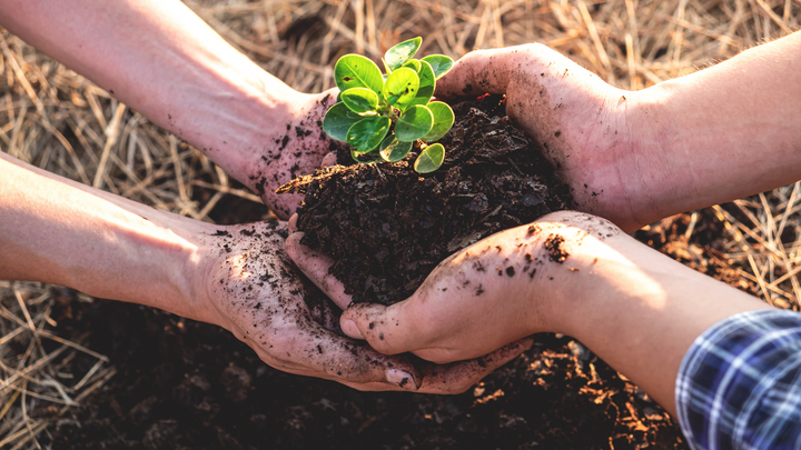 Save the Planet & Your Wallet
