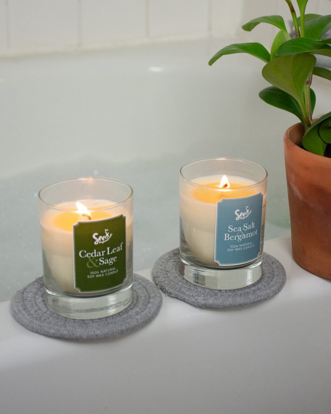 Cedar Leaf and Sage Soy Wax Candle