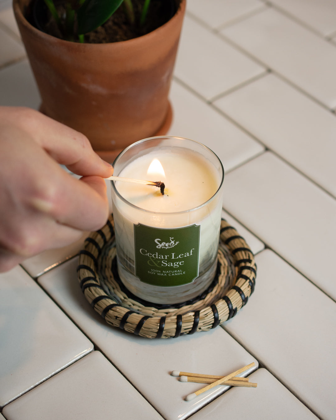 Cedar Leaf and Sage Soy Wax Candle