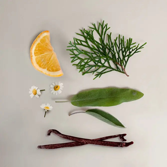 Cedar Leaf and Sage Soy Wax Candle