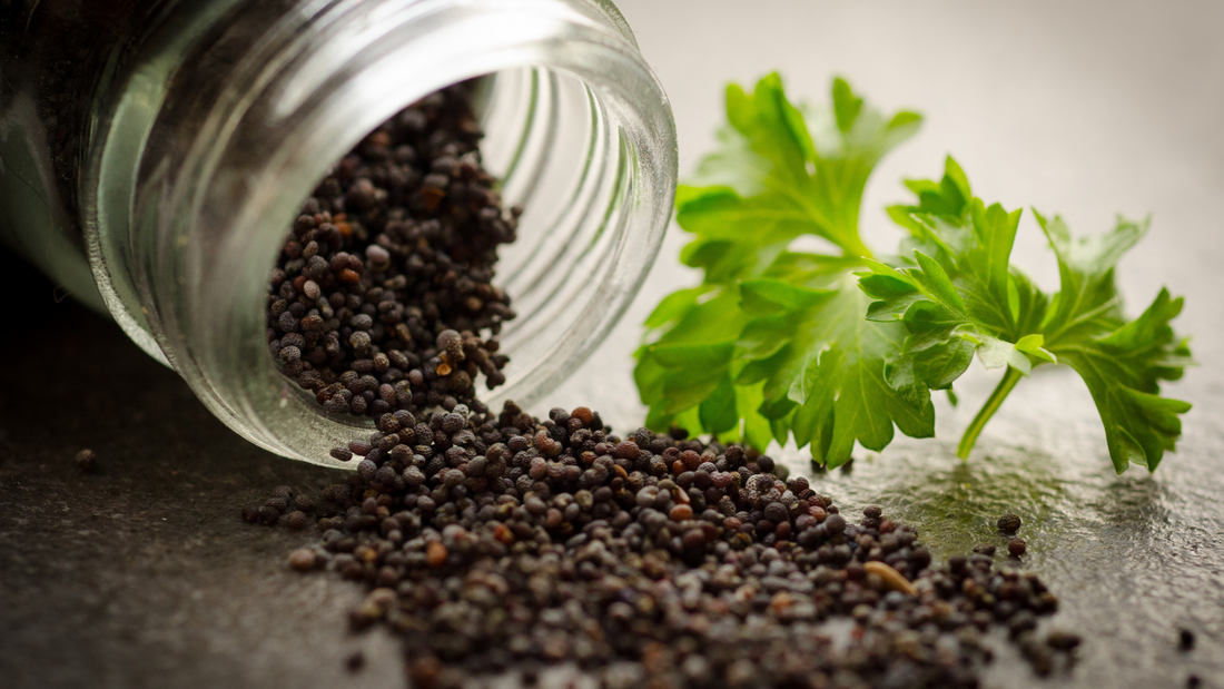 Seeds