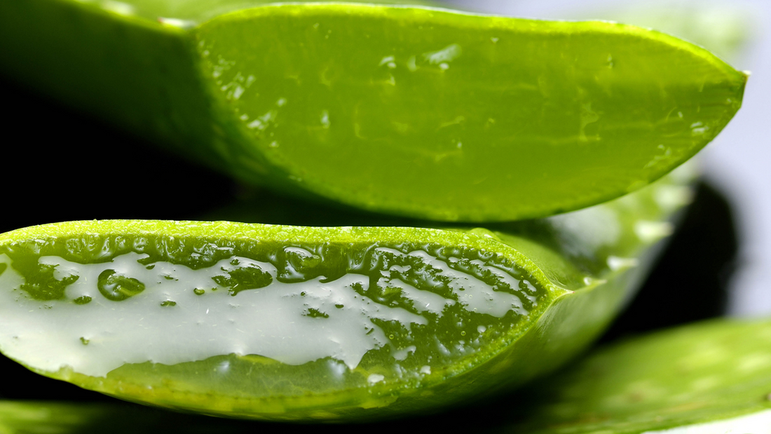 Six Natural Remedies for Soothing Sunburn