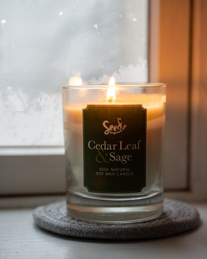 Cedar Leaf and Sage Soy Wax Candle