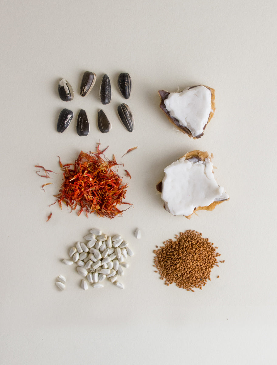 Seed Phytonutrients Body Moisturizer Ingredients