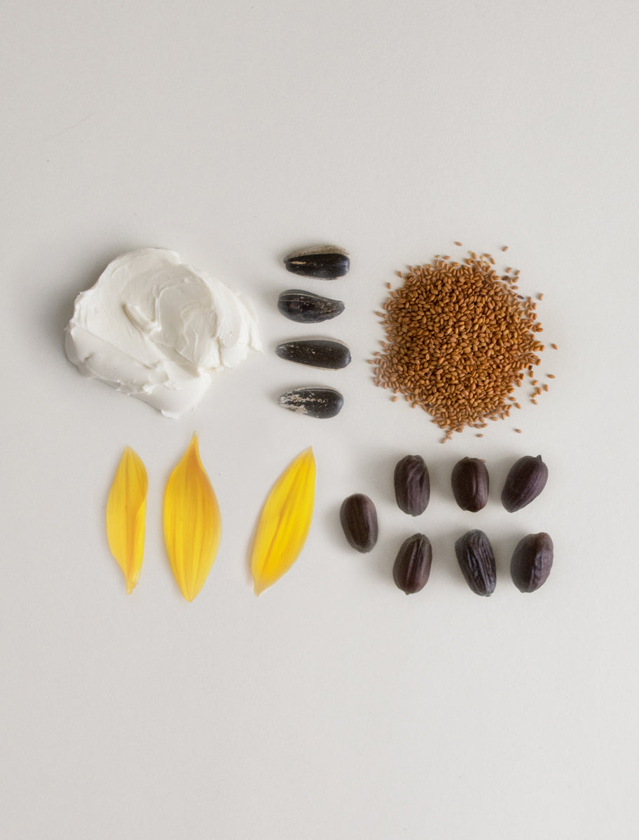 Seed Phytonutrients Lip Balm Ingredients